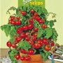 Buzzy ® Balkontomaten Maja